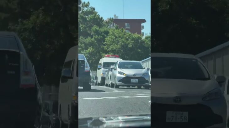 🚨兵庫県警🚨警察車両🚨パトカー🚨 #兵庫県警 #警察車両 #パトカー #shorts #shortvideo #short