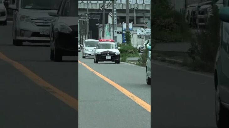 【最新型赤色灯】 🚨パトカー🚨パトロール🚨兵庫県警🚨 #パトカー #兵庫県警 #新型赤色灯 #shorts #shortvideo #short