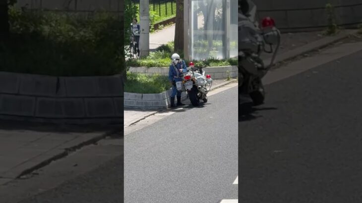 🚨白バイ🚨兵庫県警🚨 #白バイ #白バイ隊員 #兵庫県警 #shorts #shortvideo #short