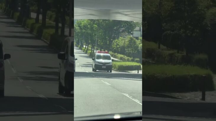 🚨パトカー🚨パトロール🚨兵庫県警🚨 #パトカー #兵庫県警 #shorts #shortvideo #short #shortsfeed
