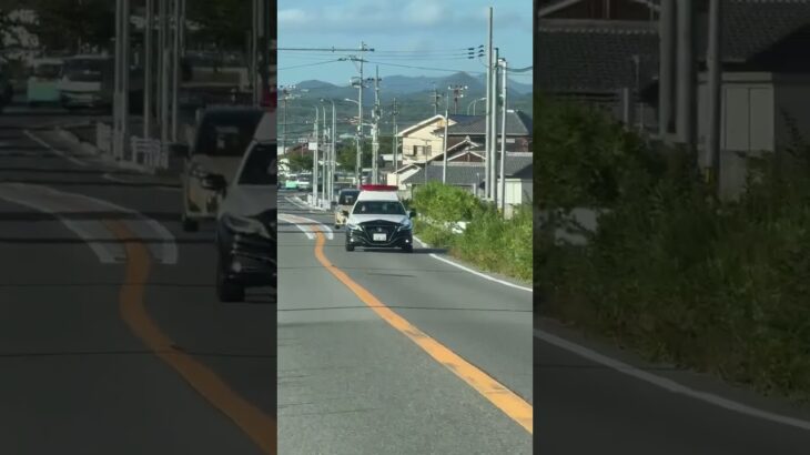 🚨パトカー🚨兵庫県警🚨パトロール🚨 #パトカー #兵庫県警 #shorts #shortvideo #short #shortsfeed