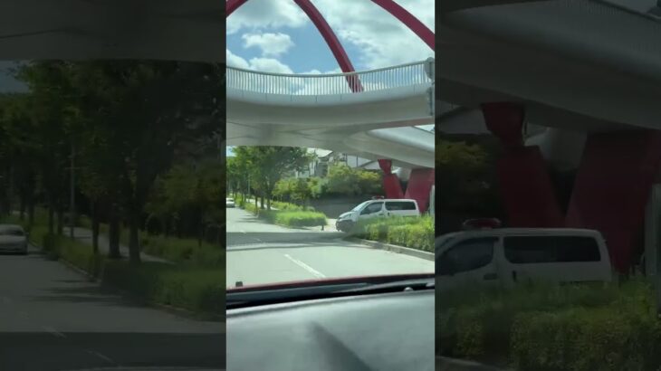 🚨警察車両🚨兵庫県警🚨パトロール🚨 #パトカー #警察車両 #兵庫県警 #shorts #shortvideo #short #shortsfeed