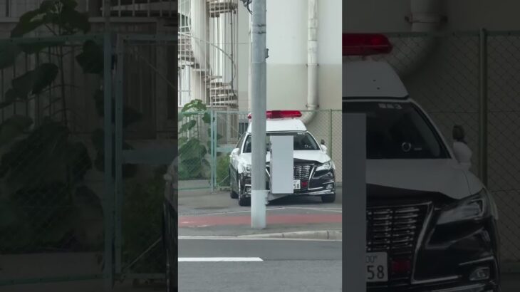 🚨パトカー🚨大阪府警🚨 #パトカー #大阪府警 #shorts #shortvideo #short #shortsfeed
