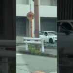 🚨対応中の警察官🚨兵庫県警🚨 #警察官 #兵庫県警 #shorts #shortvideo #short #shortsfeed
