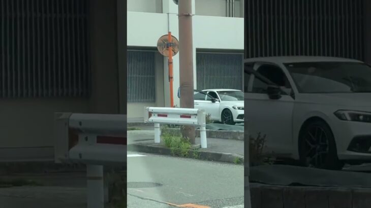 🚨対応中の警察官🚨兵庫県警🚨 #警察官 #兵庫県警 #shorts #shortvideo #short #shortsfeed