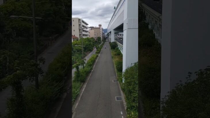 🚨白バイが走ってた🚨 #白バイ #白バイ隊員 #兵庫県警 #走行動画 #shorts #shortvideo #short #shortsfeed