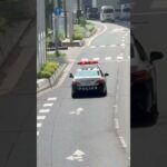 🚨パトカー🚨赤色灯🚨兵庫県警🚨パトロール🚨 #パトカー #兵庫県警 #shorts #shortvideo #short #shortsfeed