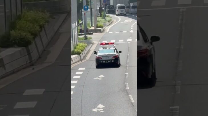 🚨パトカー🚨赤色灯🚨兵庫県警🚨パトロール🚨 #パトカー #兵庫県警 #shorts #shortvideo #short #shortsfeed