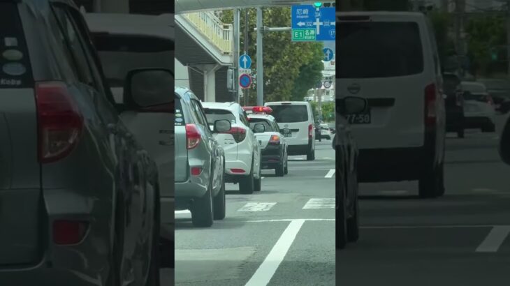 🚨パトカー🚨ミニパト🚨兵庫県警🚨パトロール🚨 #パトカー #兵庫県警 #ミニパト #走行動画 #shorts #shortvideo #short #shortsfeed
