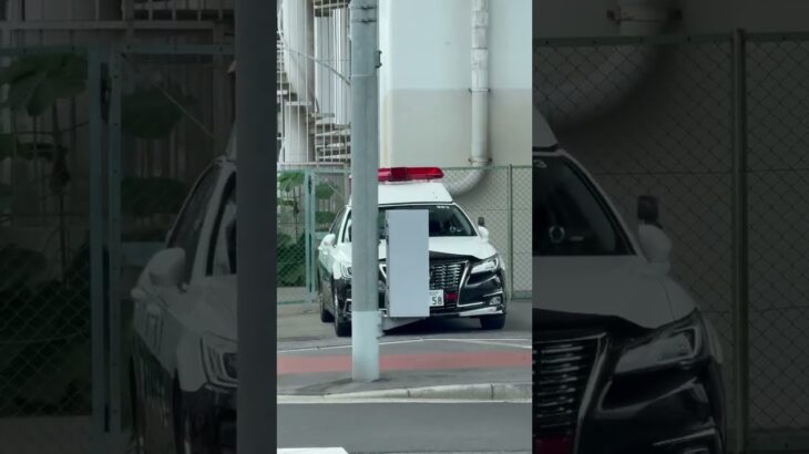 【パトカー】【大阪府警】 #パトカー #大阪府警 #shorts #shortvideo #short #shortsfeed