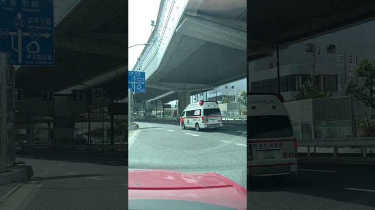 【救急車】【緊急走行】🚨西宮市消防局🚨 #救急車 #緊急走行 #西宮市消防局 #shorts #shortvideo #short #shortsfeed