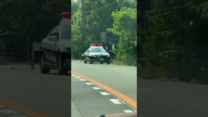 【パトカー】【兵庫県警】 #パトカー #兵庫県警 #赤色灯 #shorts #shortvideo #short #shortsfeed #shortsvideo