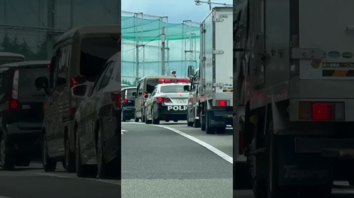 🚨パトカー🚨兵庫県警🚨クラウンパトカー🚨 #パトカー #兵庫県警 #クラウンパトカー #shorts #shortvideo #shortsfeed