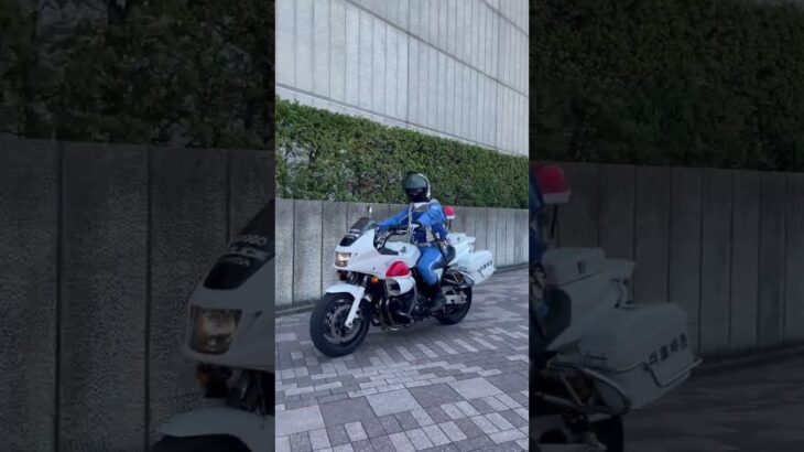 【白バイが格好いい】 #白バイ #白バイ隊員 #兵庫県警 #shorts #shortvideo #shortsfeed #short