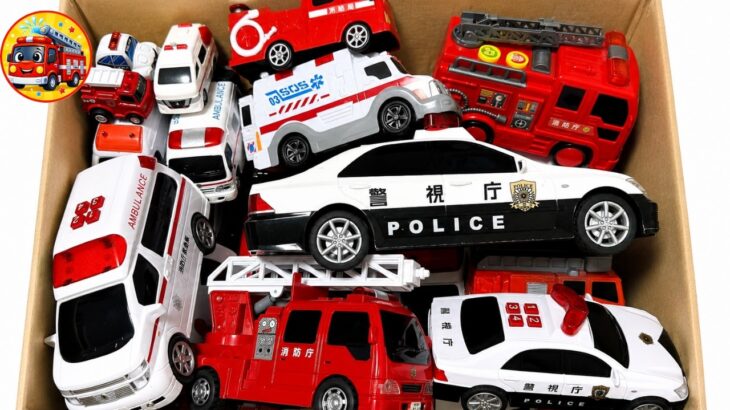 🚑🚒🚓 救急車・消防車・パトカーのミニカーを箱に何台入る？サイレン緊急出動＆坂道走行テスト☀️夏休み【子供向け】