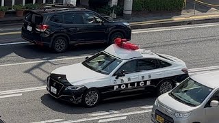 パトカー　緊急走行