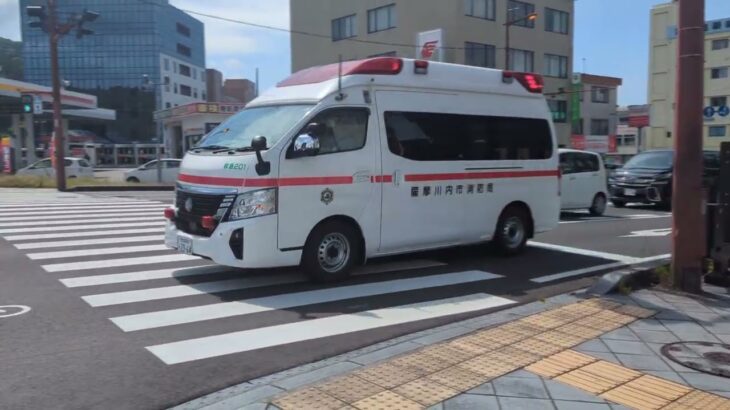 薩摩川内市消防局　中央消防署南部分署　救急２０１