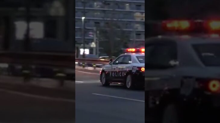 緊急走行 #ロシアと日本 #ロシアのヤバい警察