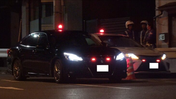 【飲酒検問に気付いたスクーターが逃走！】酒気帯び運転で逮捕か！？覆面パトカーが応援に駆け付けミニクーパーの男を連行した取締りの瞬間！！！