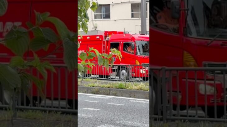 柏市消防局　西部消防署　救助工作車　緊急走行