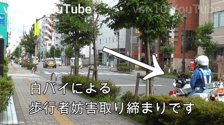 いや、真ん前に白バイいるよ？全く止まる気なしでぶっちぎり！！白バイが緊急走行で転回！•サイレン聞いてから止まっても遅い！パトカーが追走！歩行者なしの歩行者妨害！？•覆面パトカーがバイクに停止命令！等