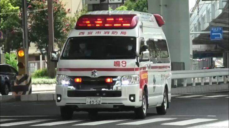 🚨赤信号の交差点を緊急走行で突破🚨救急車🚨緊急走行🚨 #救急車 #緊急走行 #西宮市消防局