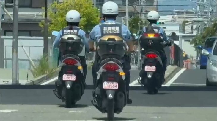 😳😳バイクの警察官達😳😳女性警察官☺️☺️ #警察官 #兵庫県警 #女性警察官 #警察バイク