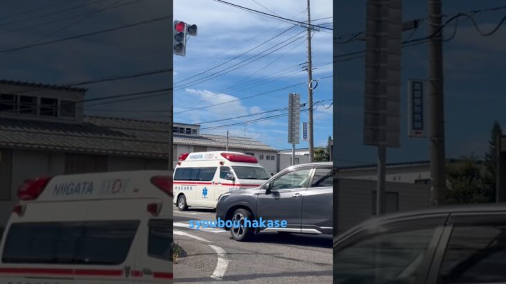 （緊急走行🚨）新潟市消防局　山の下救急‼️ #救急車 #緊急車両 #消防署 #新潟市 #新潟県救急車