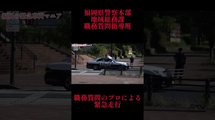 【緊急走行】これが職務質問のプロによる緊急走行！猛クラクションと素晴らしいマイクアナウンスで緊急走行