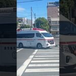 【緊急走行】米盛病院へ救急搬送!鹿児島市消防局郡山救急隊