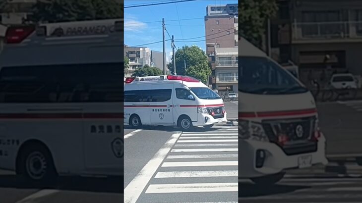 【緊急走行】米盛病院へ救急搬送!鹿児島市消防局郡山救急隊