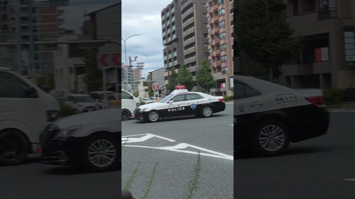 パトカー緊急走行🚨　#パトカー #緊急走行 #緊急車両