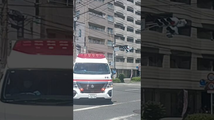 【緊急走行】モーターサイレン吹鳴！鹿児島市消防局伊敷救急隊