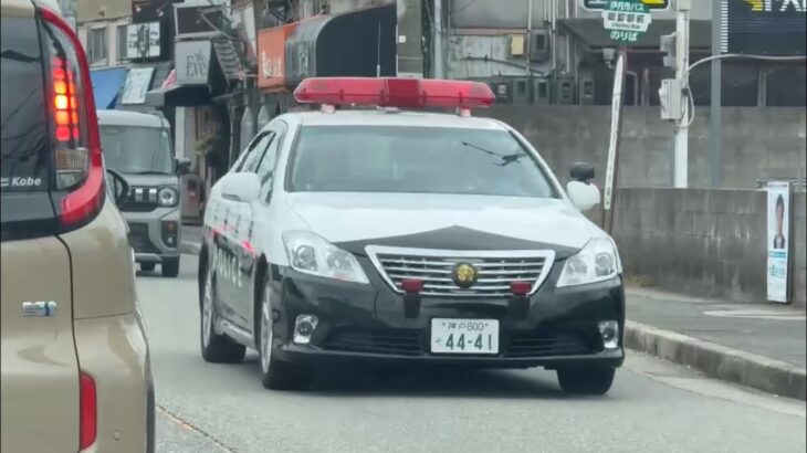🚨パトカー🚨兵庫県警🚨クラウンパトカー🚨パトロール🚨 #パトカー #兵庫県警 #クラウンパトカー