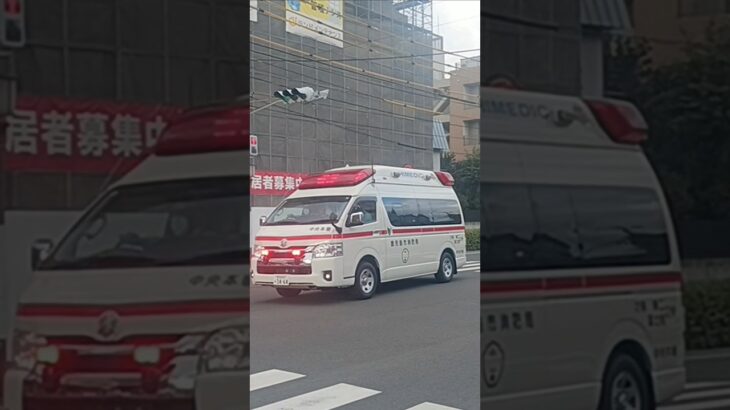 【緊急走行】のぼり病院から転院搬送!鹿児島市消防局中央本署救急隊