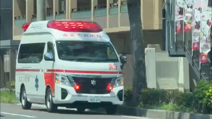 🚨現場対応中の救急車🚨西宮市消防局🚨 #救急車 #赤色灯 #西宮市消防局