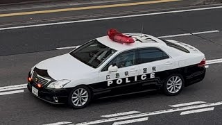 パトカー　緊急走行