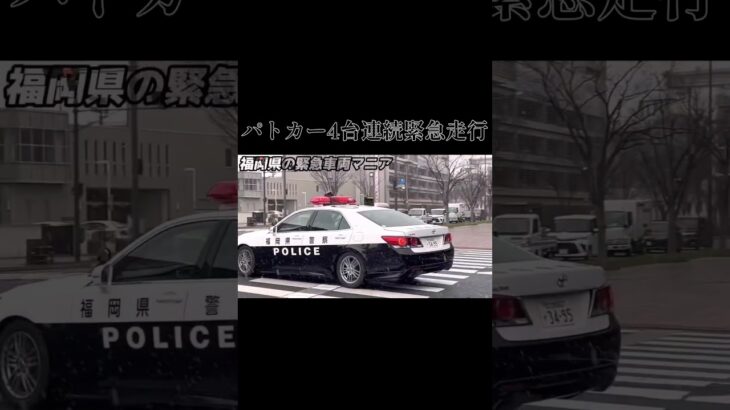 【緊急走行】事件発生！パトカーやミニパト、覆面パトカー緊急走行