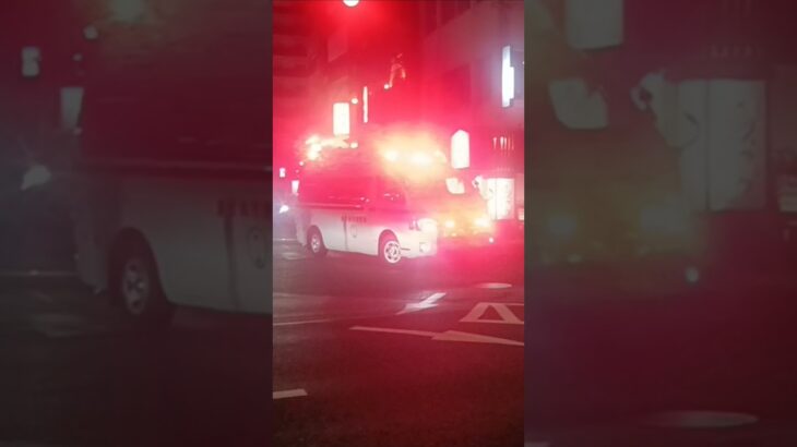 【緊急走行】アクティビーコン救急搬送!鹿児島市消防局甲南救急隊