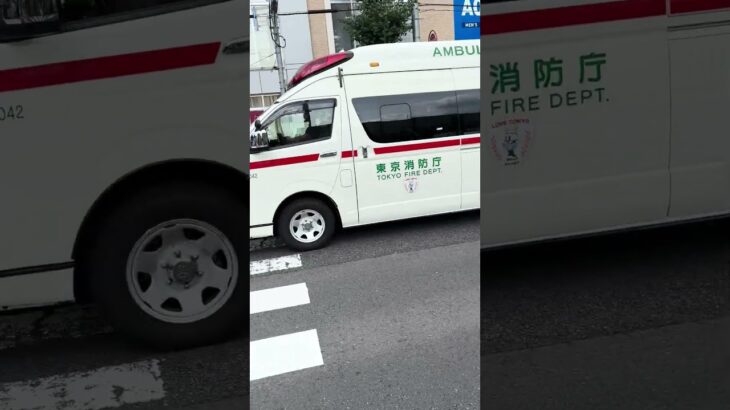 命をつなぐ緊急走行！街を駆け抜ける救急車
