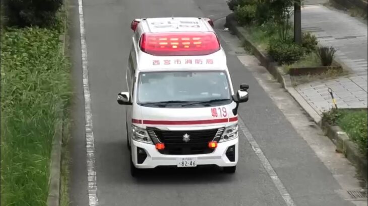 🚨響き渡るサイレン🚨救急車🚨緊急走行🚨西宮市消防局🚨 #救急車 #緊急走行 #西宮市消防局