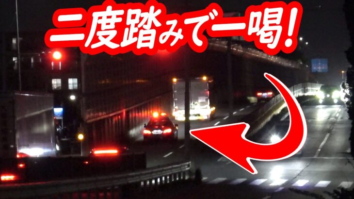 運転手さん！サイレンとバッシングに気付かない振りしたトラックにパトカーが一喝！【パトカーによる信号無視取り締まり】