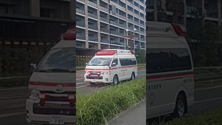 【緊急走行】ワンオペで救急搬送!鹿児島市消防局吉田救急隊