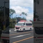 【緊急走行】徳洲会病院へ救急搬送!鹿児島市消防局谷山北救急隊