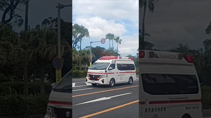 【緊急走行】徳洲会病院へ救急搬送!鹿児島市消防局谷山北救急隊