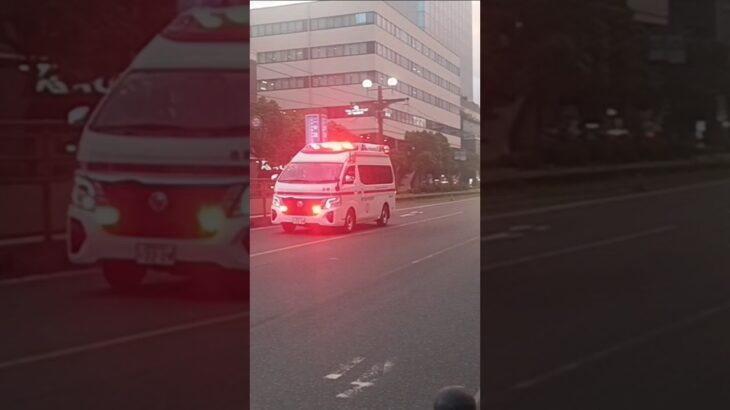 【緊急走行】今給黎病院へ救急搬送!鹿児島市消防局吉野救急隊
