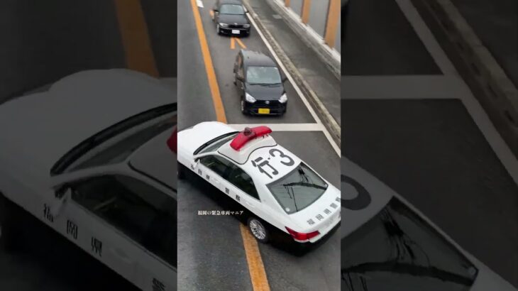 【緊急走行】猛クラクションでパトカー緊急走行！#福岡県警察