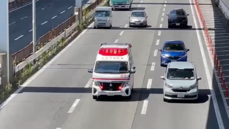 🚨救急車🚨緊急走行🚨響き渡るサイレン🚨西宮市消防局🚨 #救急車 #緊急走行 #西宮市消防局
