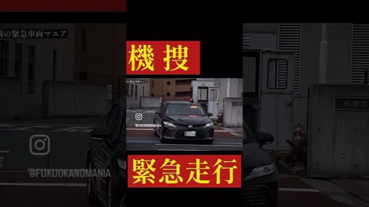 【緊急走行】機動捜査・特別遊撃班  カムリ 覆面緊急走行！
