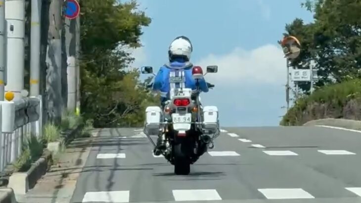 😳😳白バイが走ってた😳😳 #白バイ #白バイ隊員 #兵庫県警